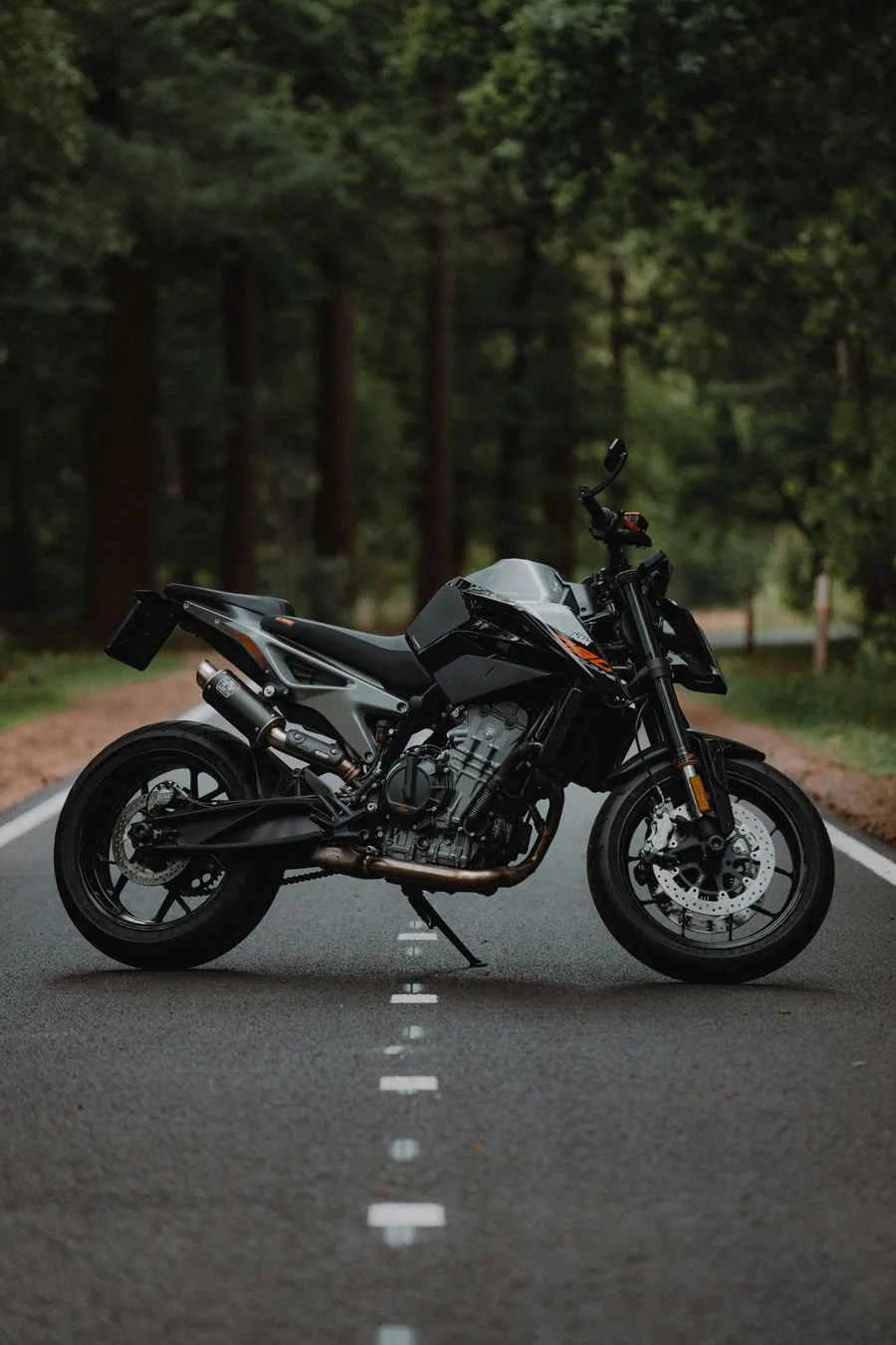 Moto naked aparcada en una carretera entre árboles